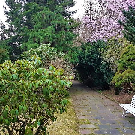 Siegerland-Hotel Freudenberg  Zewnętrze zdjęcie
