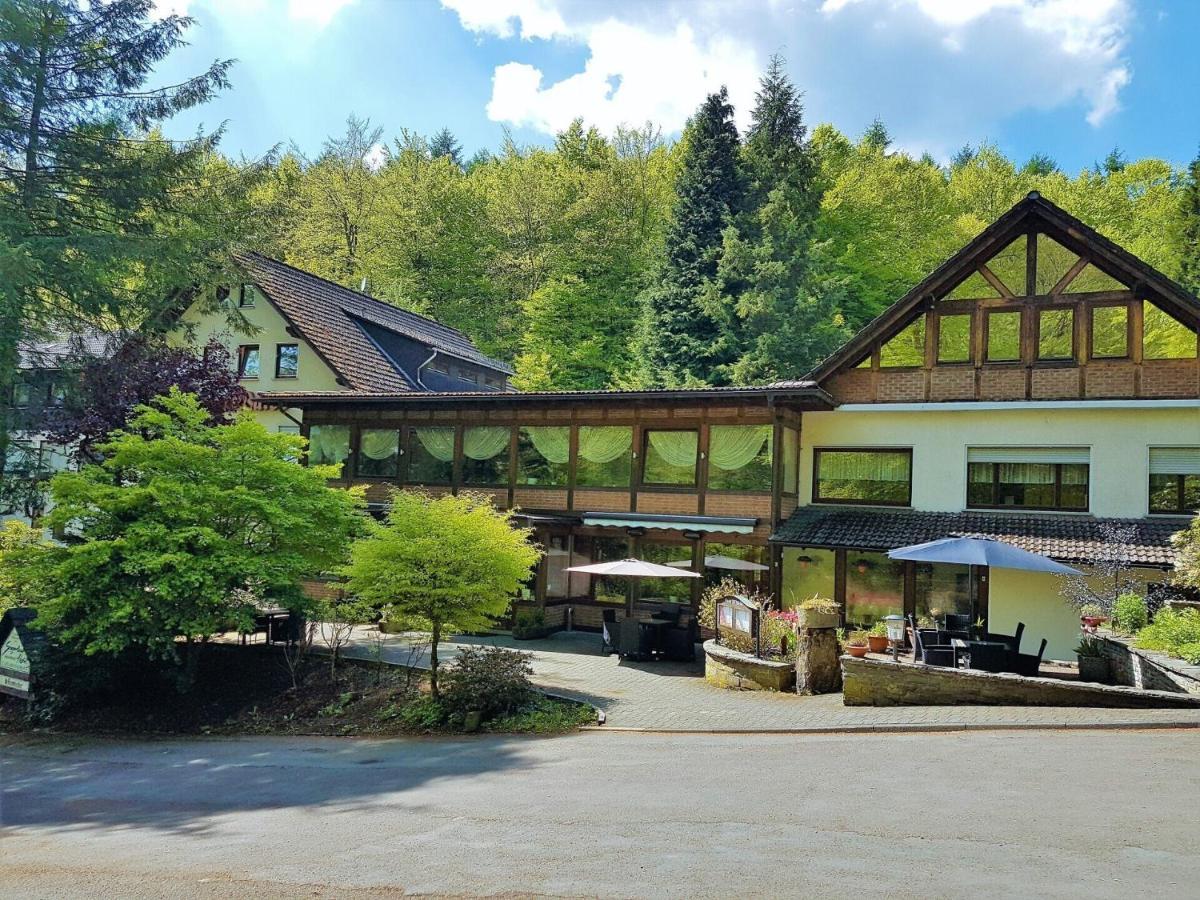 Siegerland-Hotel Freudenberg  Zewnętrze zdjęcie