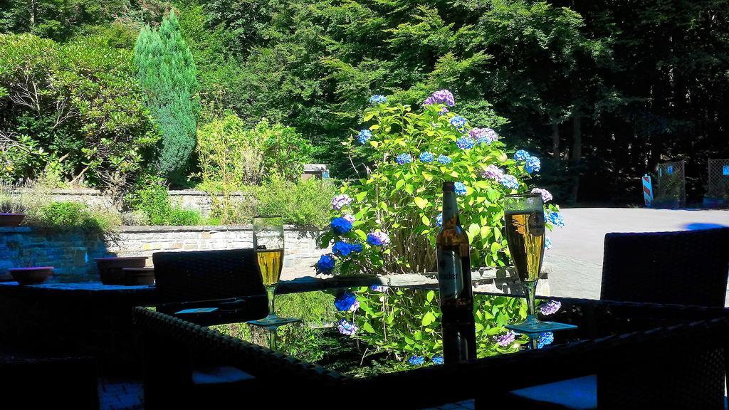 Siegerland-Hotel Freudenberg  Zewnętrze zdjęcie
