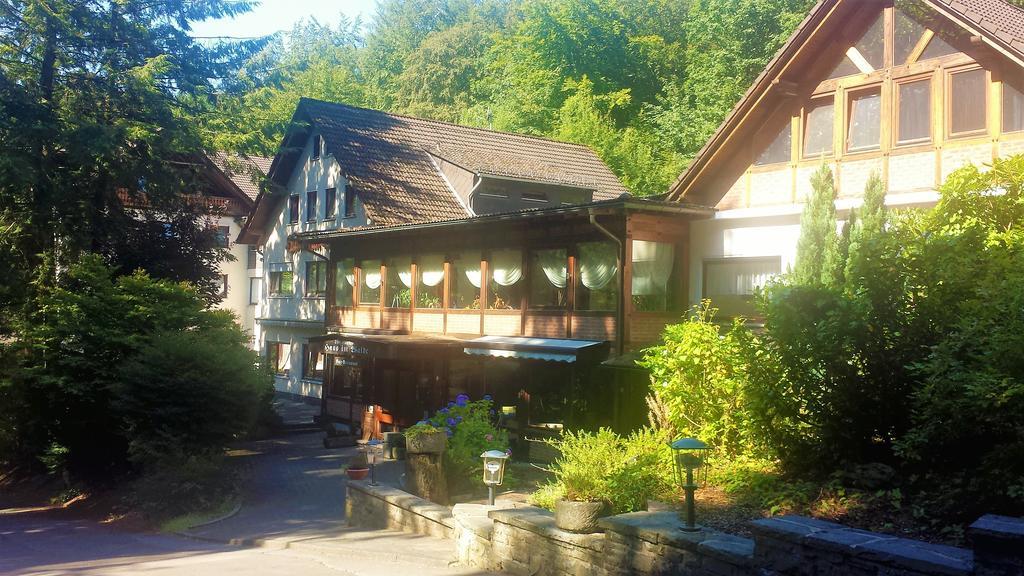 Siegerland-Hotel Freudenberg  Zewnętrze zdjęcie